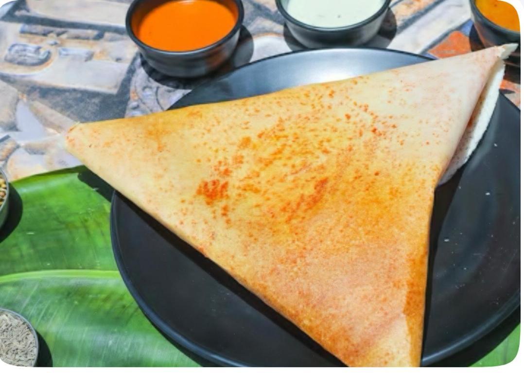 Hotel Dosa Plaza Udaipur Bagian luar foto